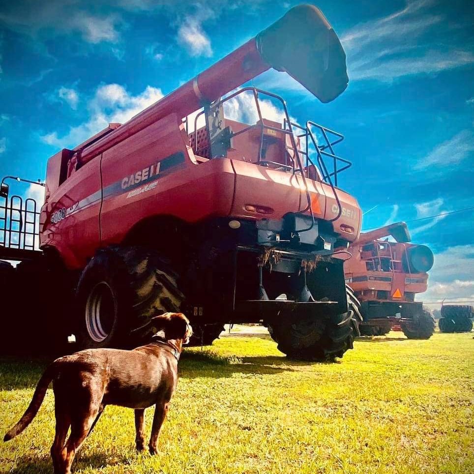 Carolina Agri Power, LLC